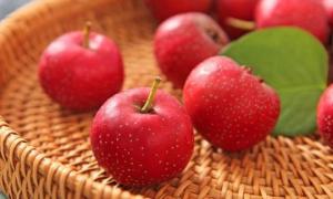 Tại sao táo gai được xem là loại quả 'bậc thầy về sức khỏe'?
