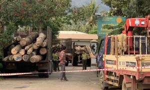Xác định thêm nghi phạm trong vụ chặt phá rừng phòng hộ ở Đồng Nai