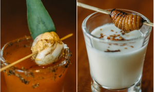 Cocktail đuông dừa, trứng cút lộn lạ miệng, 'thách thức' khách Tây ở TP.HCM