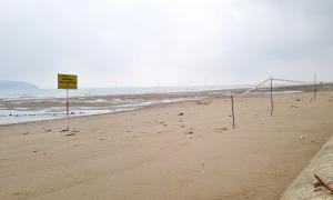 Nghệ An: Phát hiện nhiều vụ khai thác cát trái phép