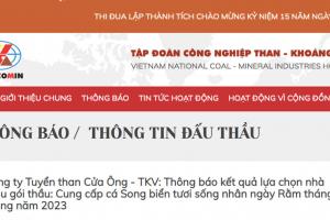 Một công ty than chi 5 tỷ đồng mua cá song làm Rằm tháng Giêng