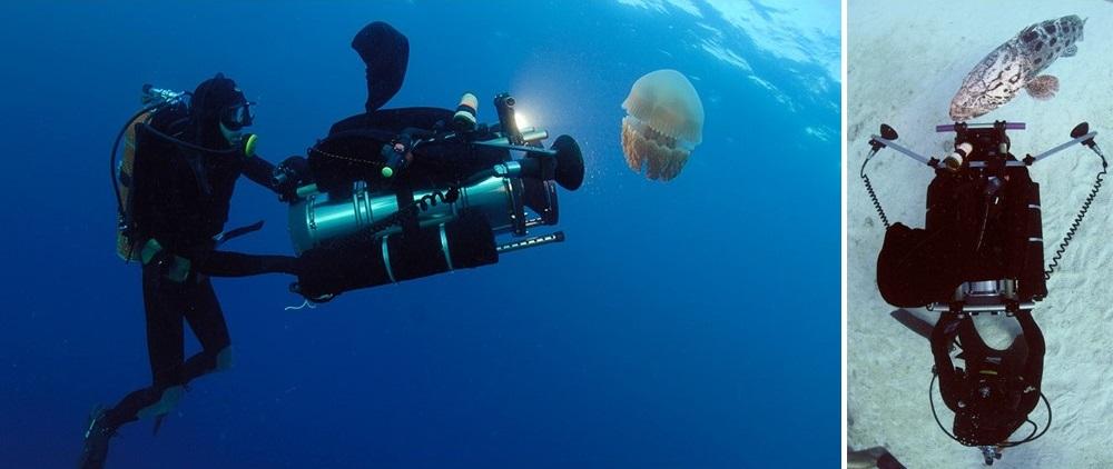 A scuba diver with a jellyfishDescription automatically generated